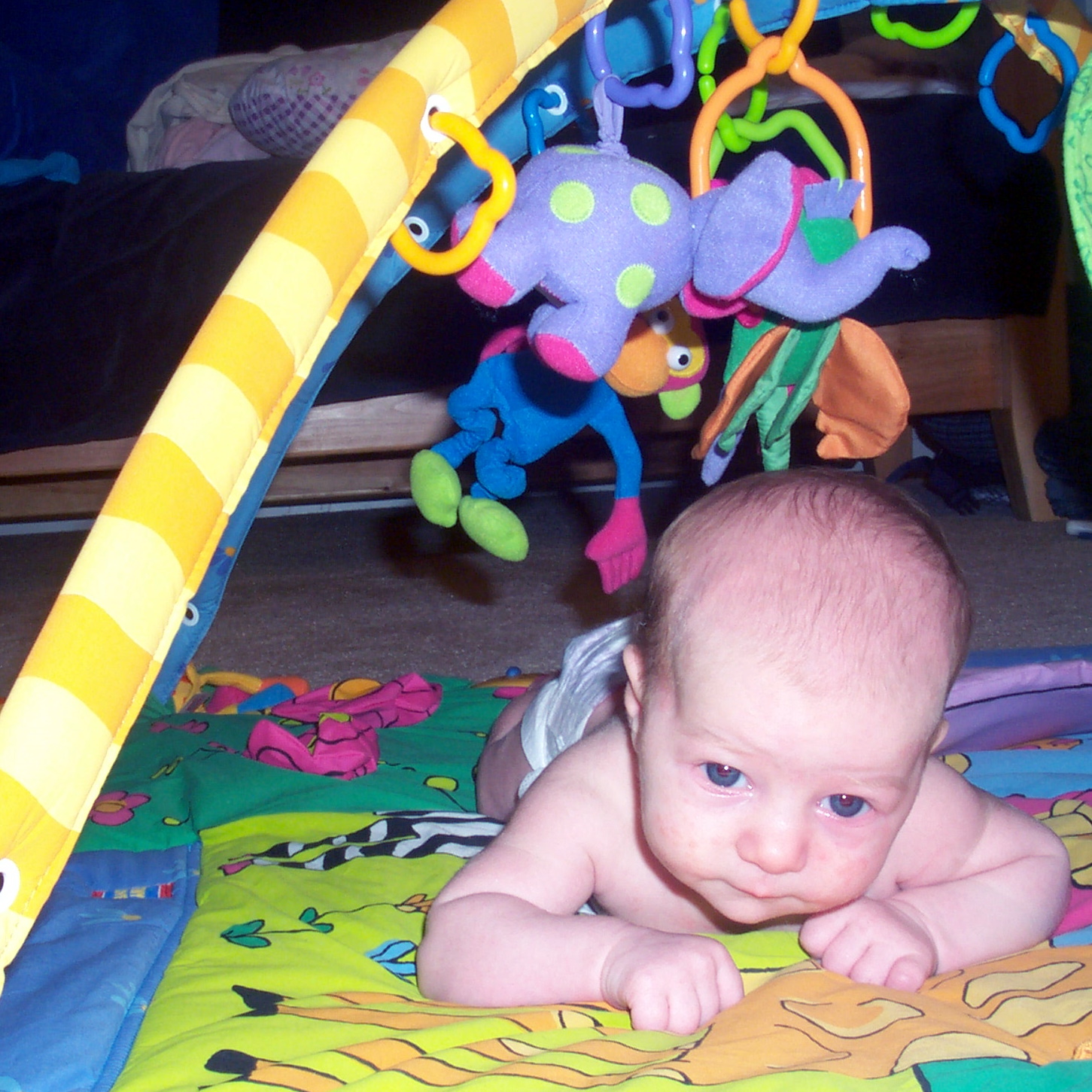 Second month: in a jungle gym, June 2005