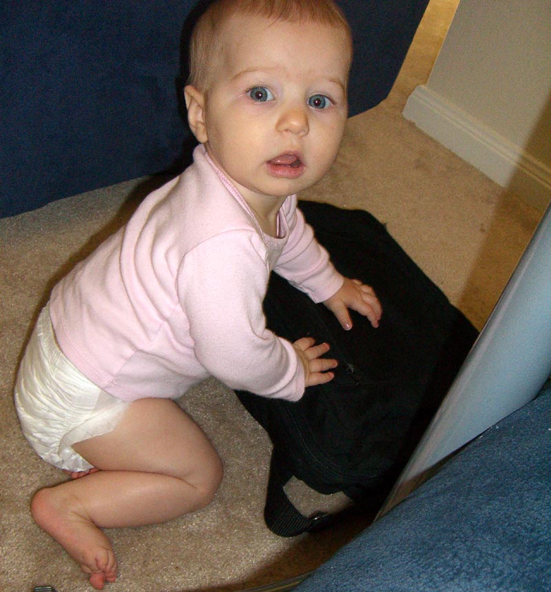 Crouches on a laptop bag, December 2005