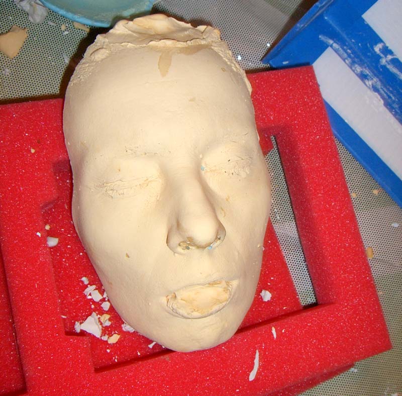 Finished cast of my face