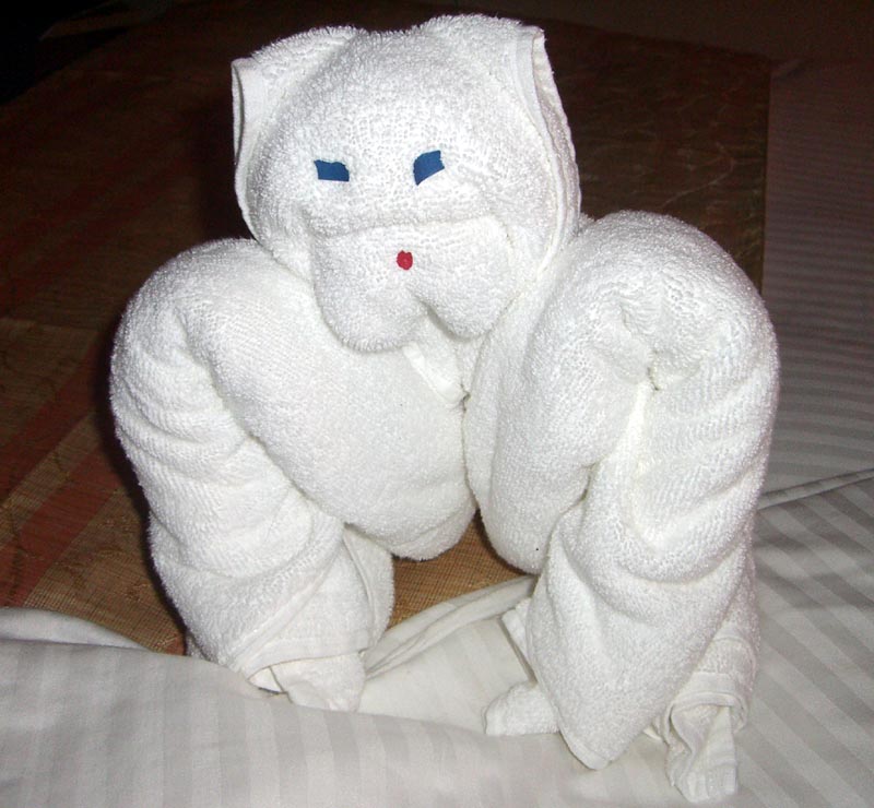 Towel cat, seen on a cruise ship