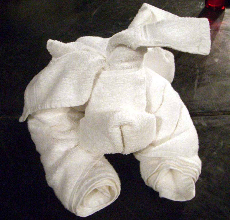 Last step in making a towel dog: place the head on the body