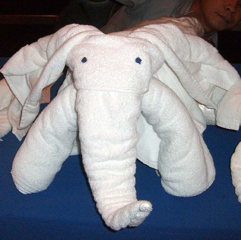 Towel elephant that was made at the towel animal-making workshop