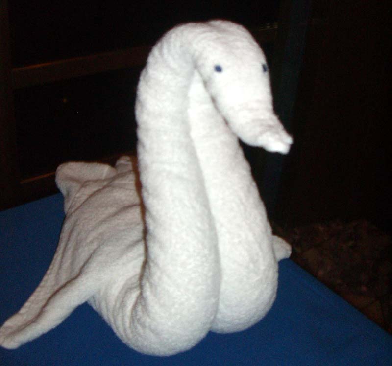 Towel swan that was made at the towel animal-making workshop