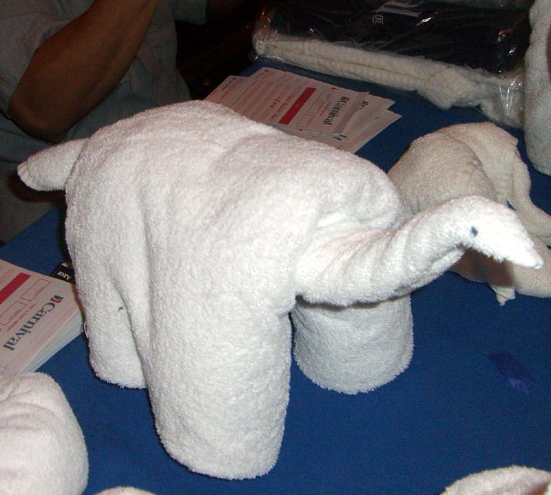 Towel turtle that was made at the towel animal-making workshop