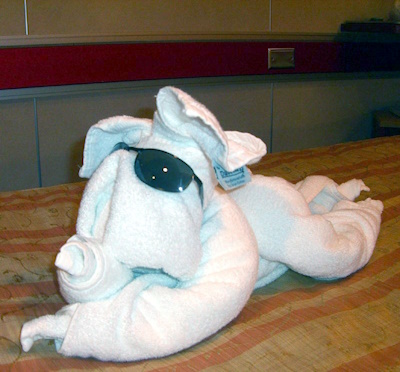 Towel dog with sunglasses, seen on a cruise ship, November 2007